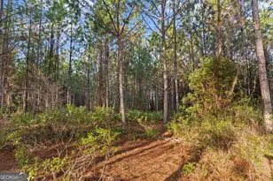 145 Dekan Ave, Brunswick, GA 31525 - Photo 27