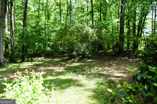 50 Frasier Dr, Brooks, GA 30205 - Photo 35