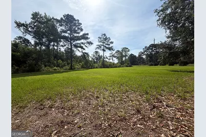 3919 Ga Highway 152, Cobbtown, GA 30420 - Photo 3