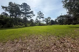 3919 Ga Hwy 152, Cobbtown, GA 30420 - Photo 3