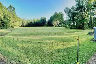 3919 Ga Hwy 152, Cobbtown, GA 30420 - Photo 17
