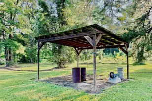 3919 Ga Hwy 152, Cobbtown, GA 30420 - Photo 13