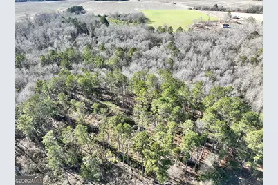 0 Jenkins Farm Road, Byromville, GA 31007 - Photo 3