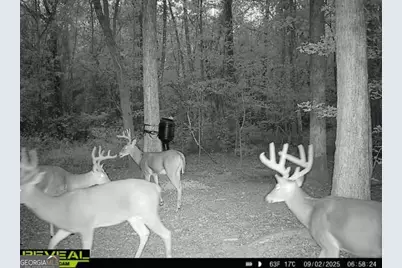 0 Jenkins Farm Road, Byromville, GA 31007 - Photo 31