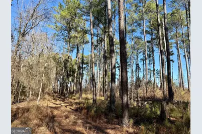 0 Jenkins Farm Road, Byromville, GA 31007 - Photo 27