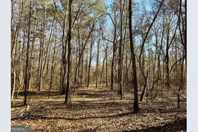 0 Jenkins Farm Road, Byromville, GA 31007 - Photo 15