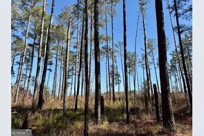0 Jenkins Farm Road, Byromville, GA 31007 - Photo 13