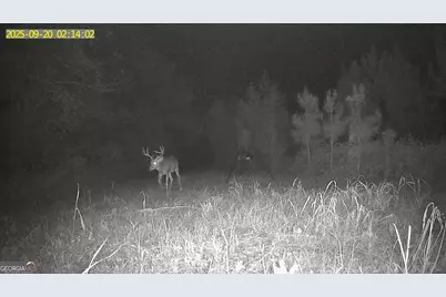 0 Jenkins Farm Road, Byromville, GA 31007 - Photo 35