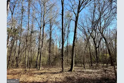 0 Jenkins Farm Road, Byromville, GA 31007 - Photo 25