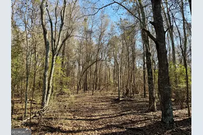 0 Jenkins Farm Road, Byromville, GA 31007 - Photo 19