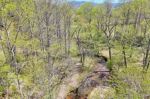 1067 Ov Justus Rd, Rabun Gap, GA 30568 - Photo 3