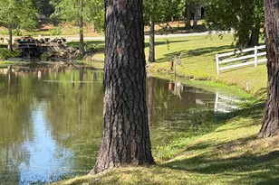 403 Payne Pl, Dublin, GA 31021 - Photo 9