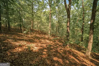 0 Hancock Mountain Trail, Waleska, GA 30183 - Photo 1