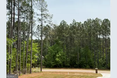 30 Mattie Court, Mansfield, GA 30055 - Photo 3