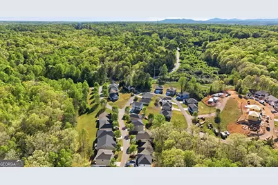 139 Saluda Drive, Demorest, GA 30535 - Photo 49