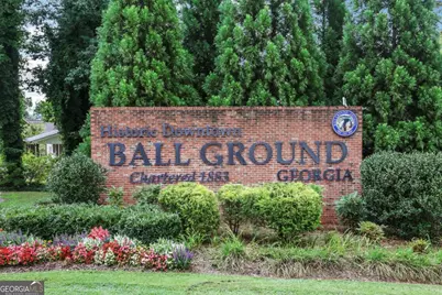 325 Conifer Lane, Ball Ground, GA 30107 - Photo 49