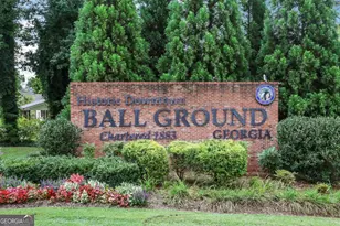 325 Conifer Ln, Ball Ground, GA 30107 - Photo 49