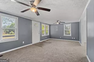 3668 Myers St, Dry Branch, GA 31020 - Photo 9