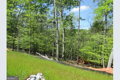 0 Morrison Moore Parkway E, Dahlonega, GA 30533 - Photo 7