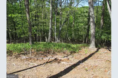 0 Morrison Moore Parkway E, Dahlonega, GA 30533 - Photo 9