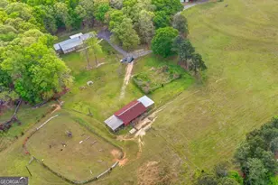 1597 Union Grove Church Rd, Auburn, GA 30011 - Photo 85