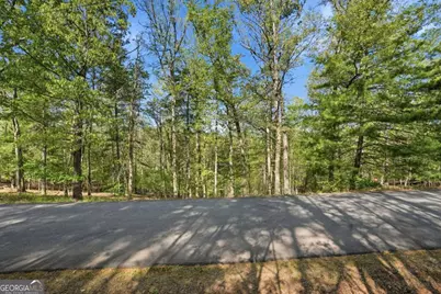 0 Mill Trace Court, Cleveland, GA 30528 - Photo 9