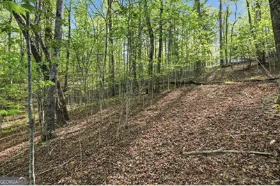 0 Mill Trace Court, Cleveland, GA 30528 - Photo 13