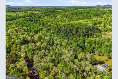 0 Mill Trace Court, Cleveland, GA 30528 - Photo 19