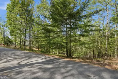 0 Mill Trace Court, Cleveland, GA 30528 - Photo 11