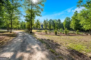 314 Hodge Rd, Perry, GA 31069 - Photo 83