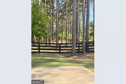233 Springdale Estates Drive, Senoia, GA 30276 - Photo 59