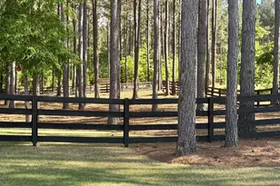 233 Springdale Estates Dr, Senoia, GA 30276 - Photo 59