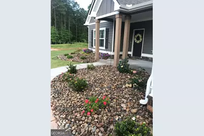 233 Springdale Estates Drive, Senoia, GA 30276 - Photo 5