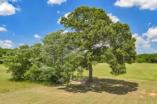 240 Williams Cir, Elko, GA 31025 - Photo 67