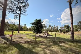 396 Douglas Hwy, Hazlehurst, GA 31539 - Photo 55