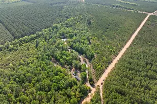 1234 Bennett Rd, Screven, GA 31560 - Photo 5
