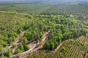 1234 Bennett Rd, Screven, GA 31560 - Photo 9