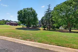 301 Hutchinson Farms Rd, Griffin, GA 30224 - Photo 67