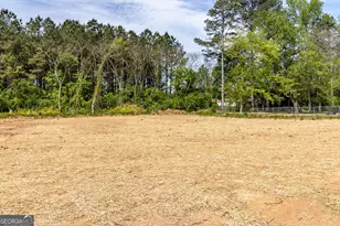 822 Wildwood, Chatsworth, GA 30705 - Photo 21