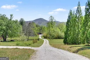 784 Wolffork Church Rd, Rabun Gap, GA 30568 - Photo 5