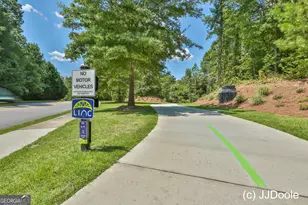 116 Eastlake Landing, Newnan, GA 30265 - Photo 81