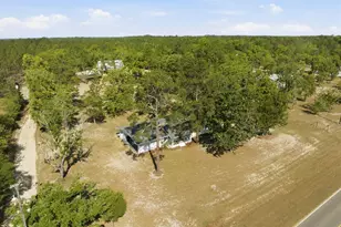 2448 Ware St, Blackshear, GA 31516 - Photo 45