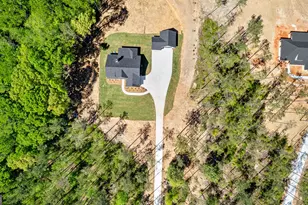 275 Bishop Rd, Meansville, GA 30256 - Photo 45