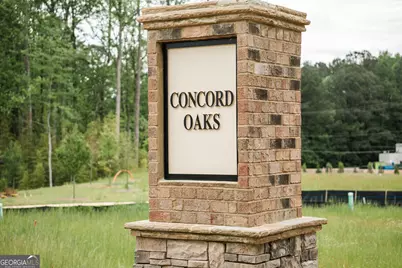 3228 Winding Waters Way, Powder Springs, GA 30127 - Photo 29