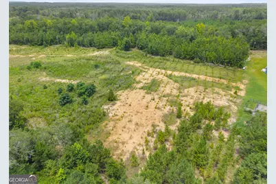0 Martin Road, Pembroke, GA 31321 - Photo 13