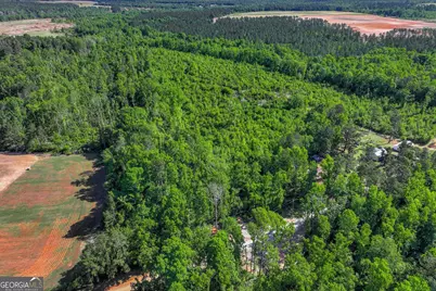 1453 Atwell Station Road, Wrens, GA 30833 - Photo 5