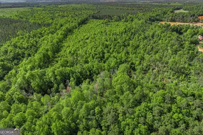 1453 Atwell Station Road, Wrens, GA 30833 - Photo 3