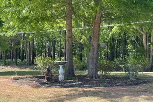 457 Old Good Hope Rd, Good Hope, GA 30641 - Photo 53