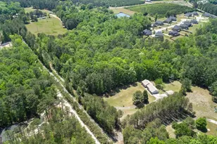 1730 Mt Carmel Rd, McDonough, GA 30253 - Photo 5