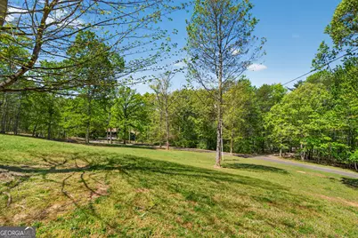 385 Shields Road, Mineral Bluff, GA 30559 - Photo 51